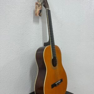 Lightly used guitar in excellent condition