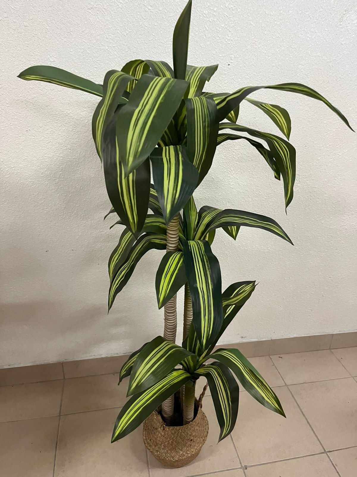 Artificial indoor dracaena tree in a woven seagrass basket - Image 7