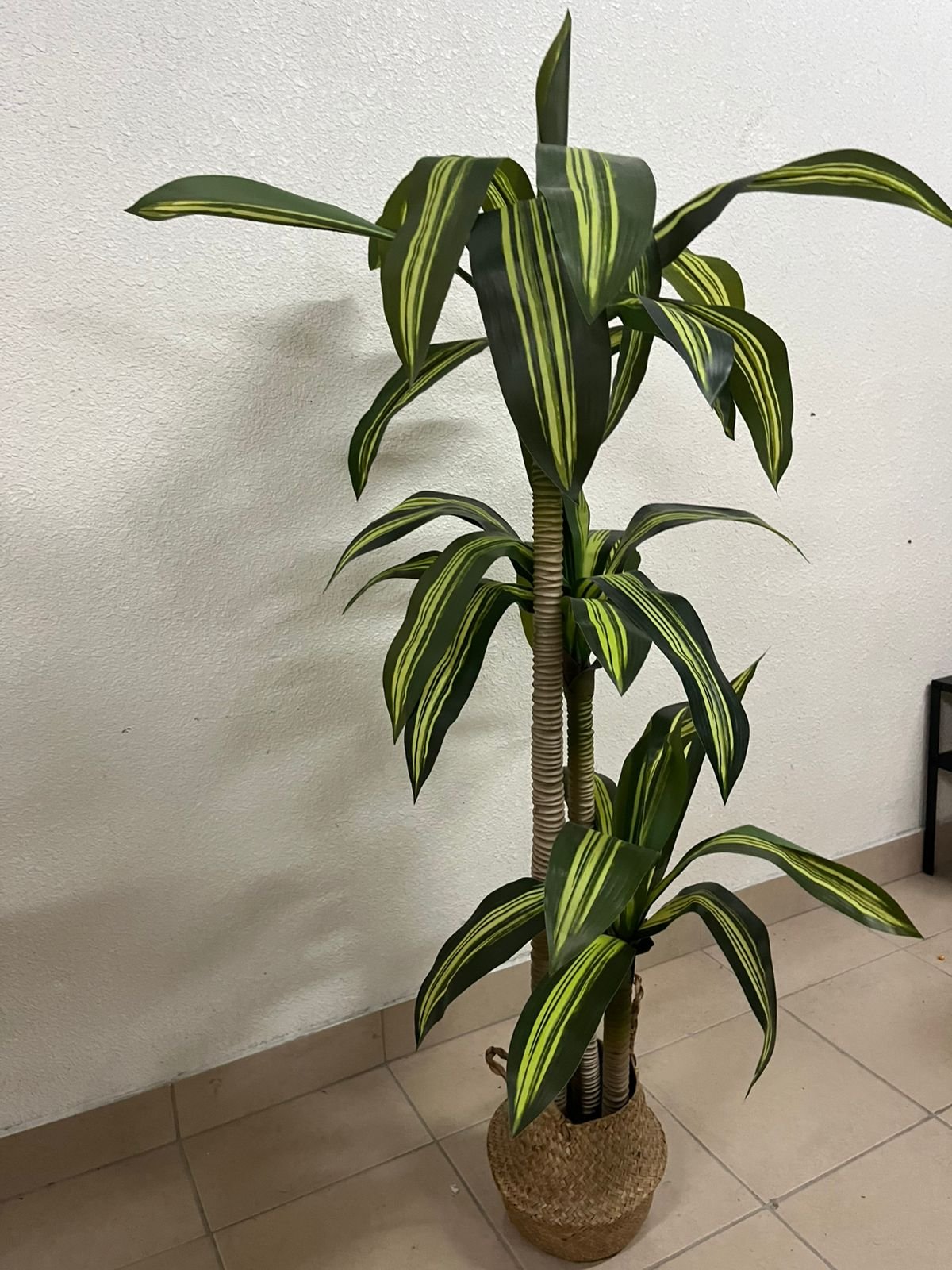 Artificial indoor dracaena tree in a woven seagrass basket - Image 8
