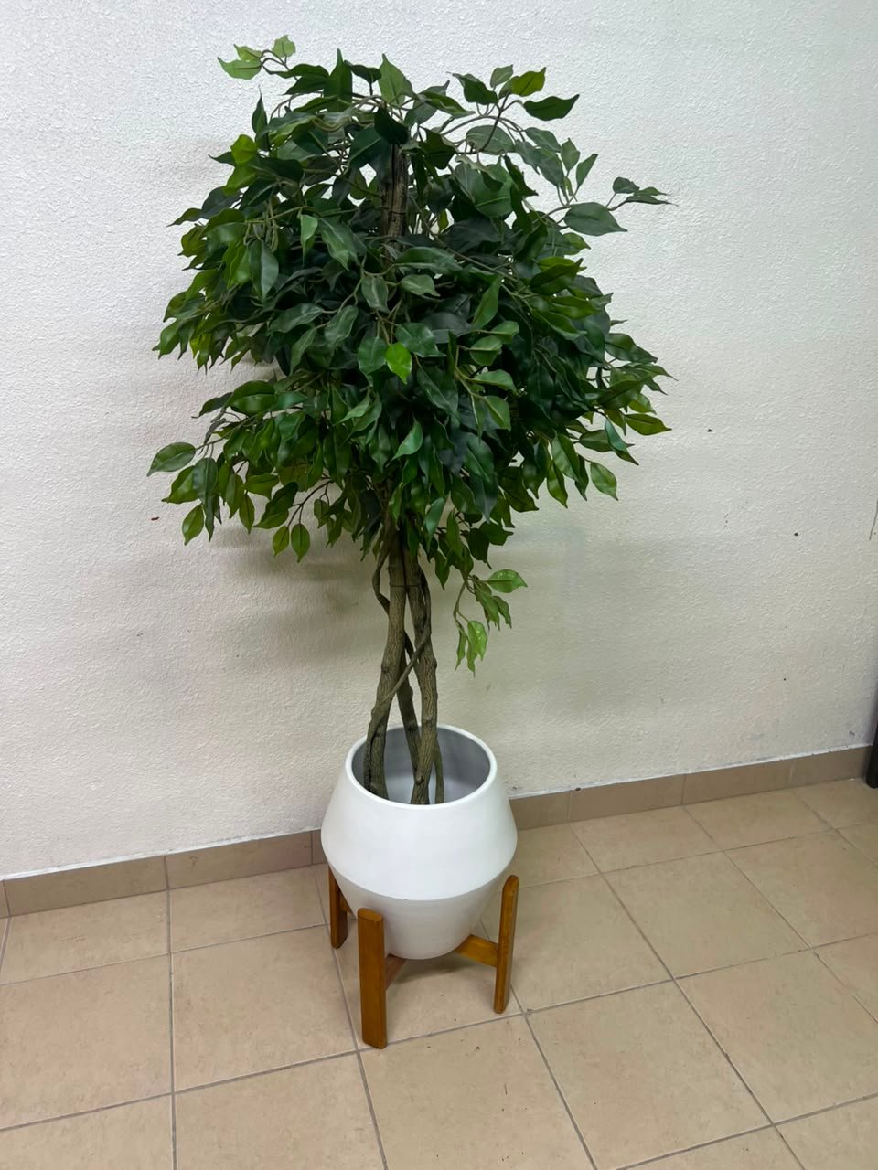 Artificial Ficus tree with dense green leaves and braided trunks - Image 2