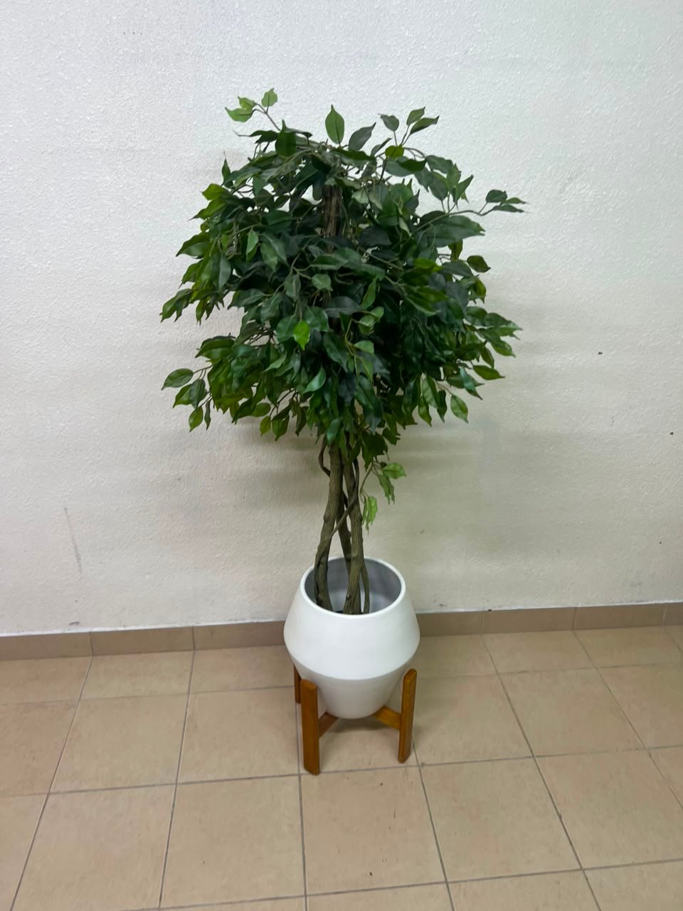 Artificial Ficus tree with dense green leaves and braided trunks - Image 3