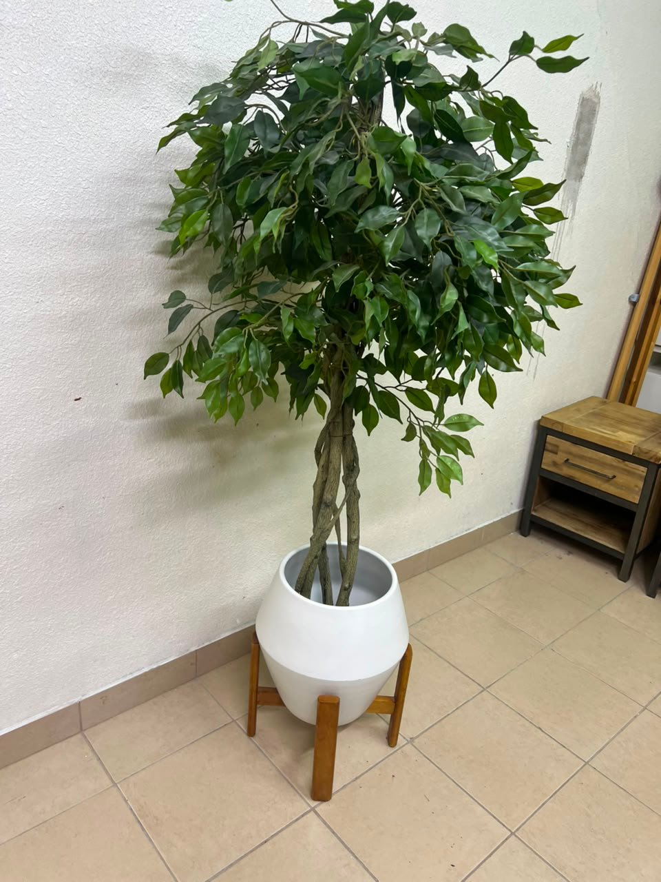 Artificial Ficus tree with dense green leaves and braided trunks - Image 4