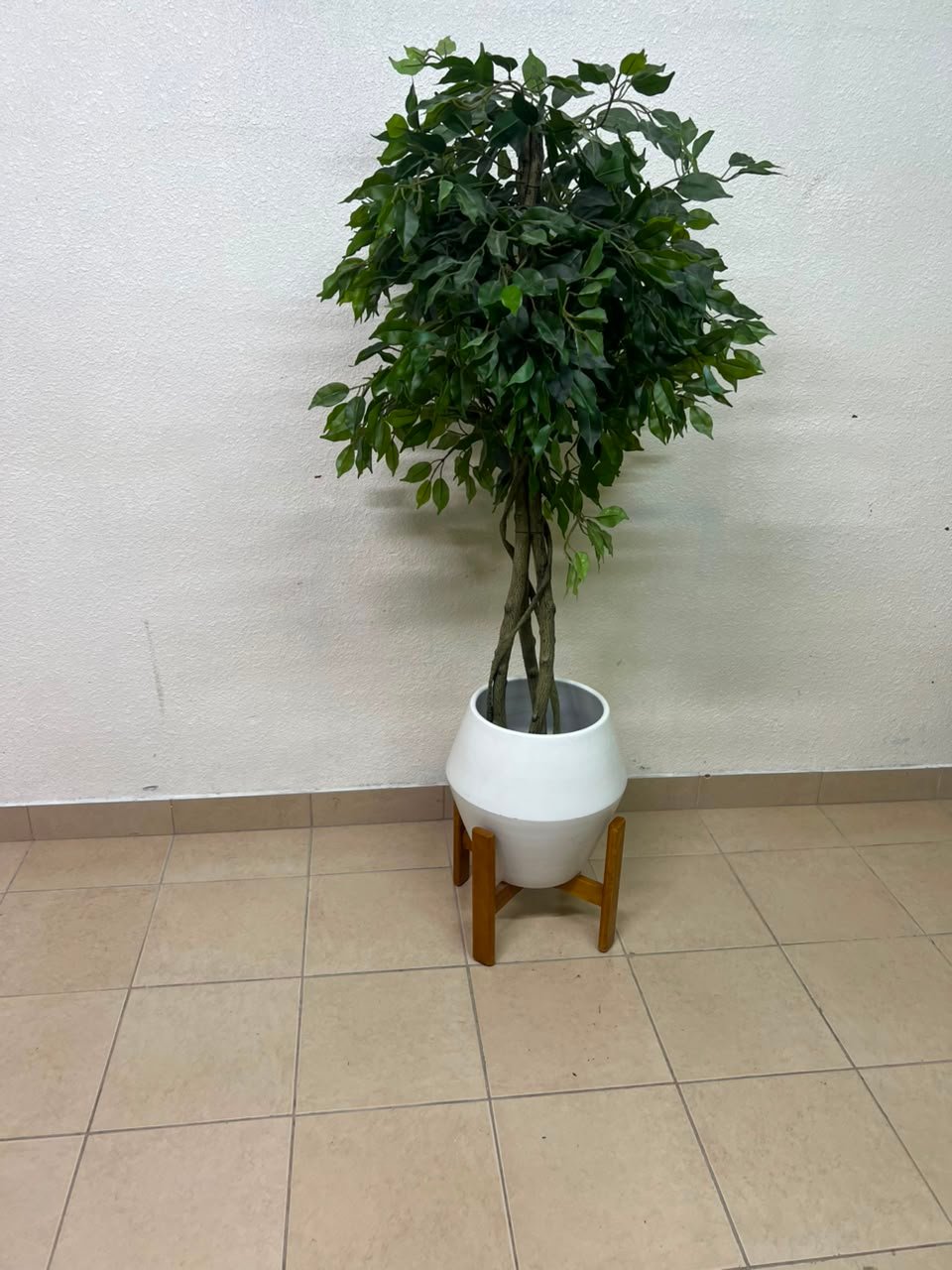 Artificial Ficus tree with dense green leaves and braided trunks - Image 5