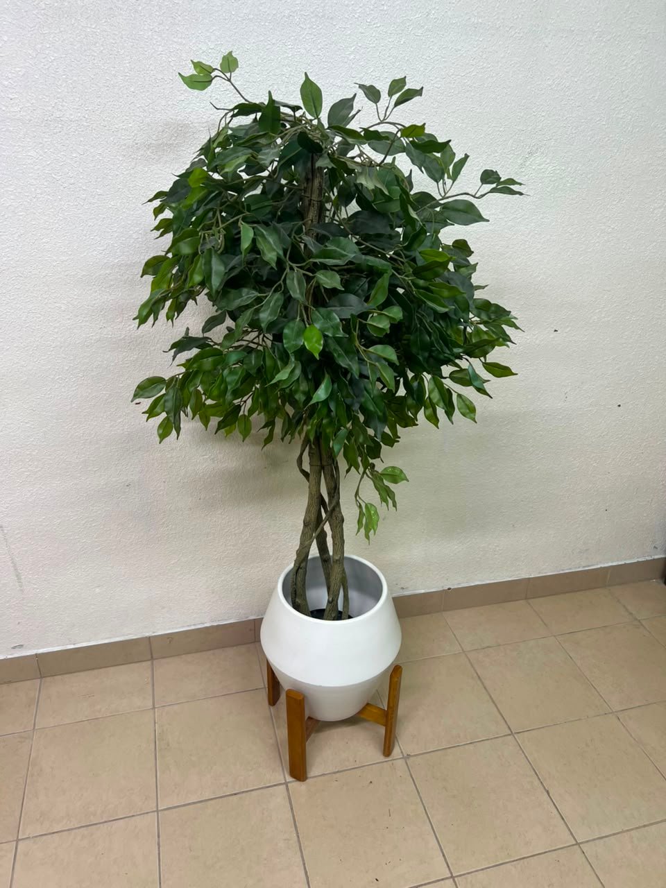 Artificial Ficus tree with dense green leaves and braided trunks - Image 6