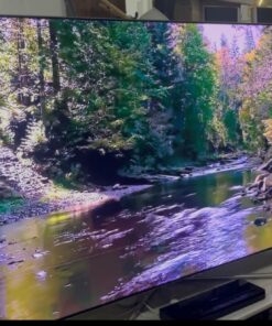 Samsung 65-inch TV