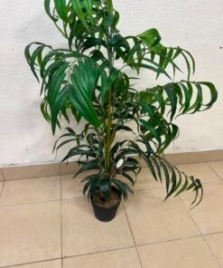 Nearly Natural Arbre en soie Bamboo Palm