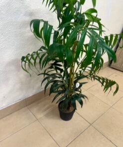 Nearly Natural Arbre en soie Bamboo Palm - Image 4