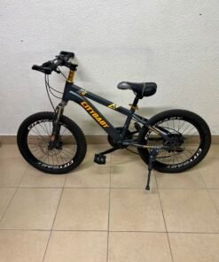 CITYBABY Junior Mountain Bike – 20"/24" Kids/Teen MTB with Front Suspension, Disc Brakes & All-Terrain Tires (Dark Grey / Orange)