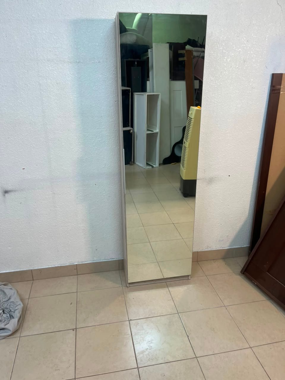 Shoe cabinet with mirrored doors
