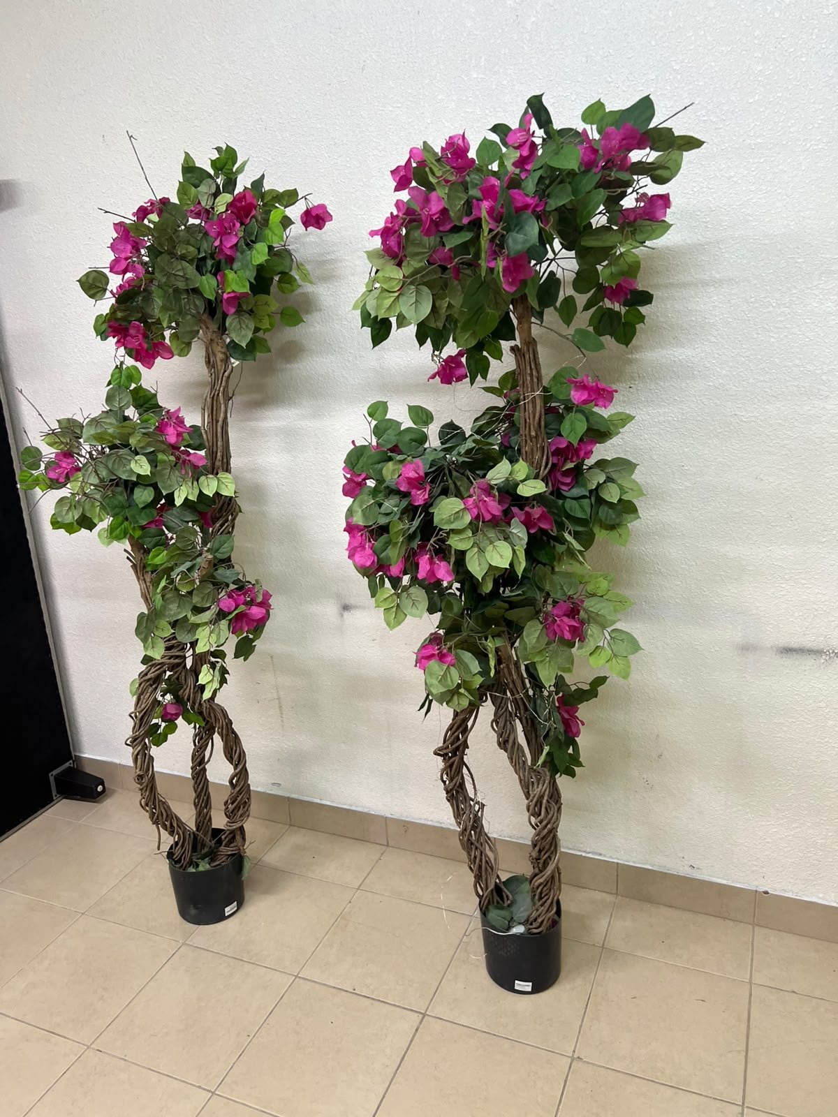 An artificial Bougainvillea tree featuring attractive pink blossoms and green foliage, distinguished by natural, expertly braided wooden trunks and set in black plastic pots. - Image 2