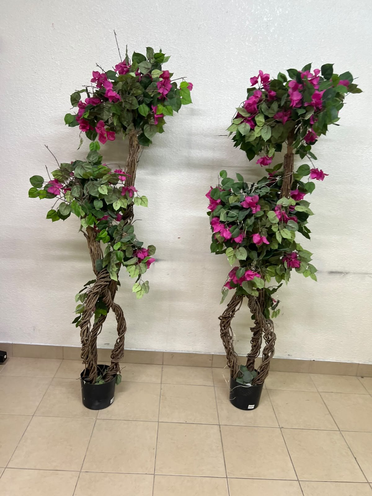 An artificial Bougainvillea tree featuring attractive pink blossoms and green foliage, distinguished by natural, expertly braided wooden trunks and set in black plastic pots. - Image 6